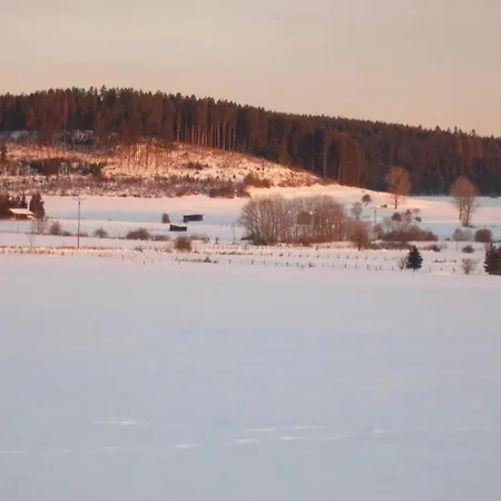 Flat In The Sauerland With Terrace