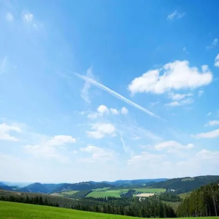Apartment Flat In The Sauerland With Terrace Medebach