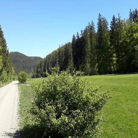 Im Sauerland דירה *