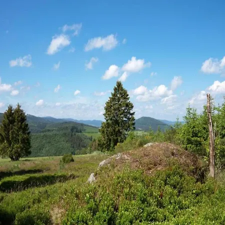Im Sauerland