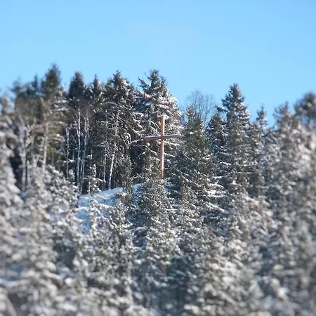 Im Sauerland شقة