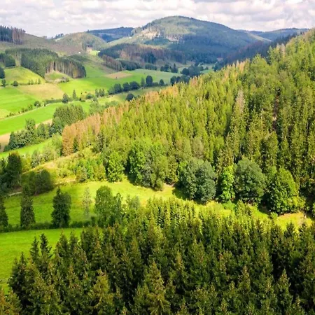 Im Sauerland 公寓