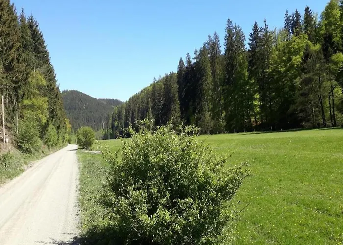 Im Sauerland דירה *