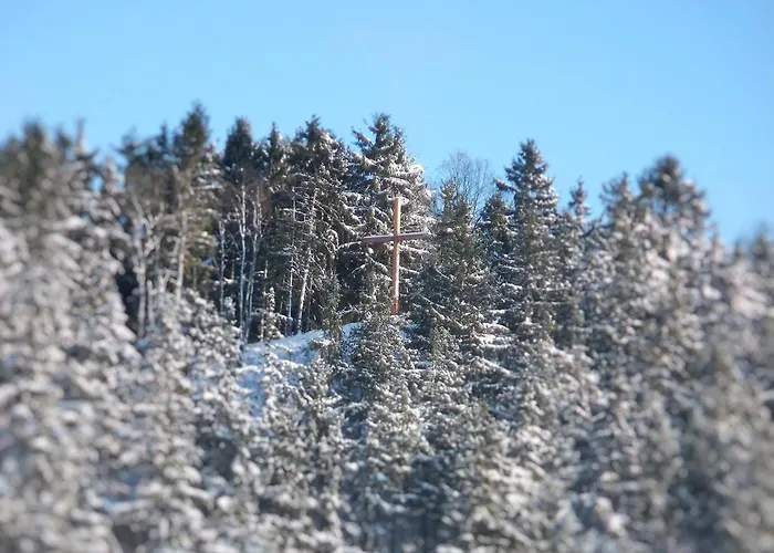 Im Sauerland דירה