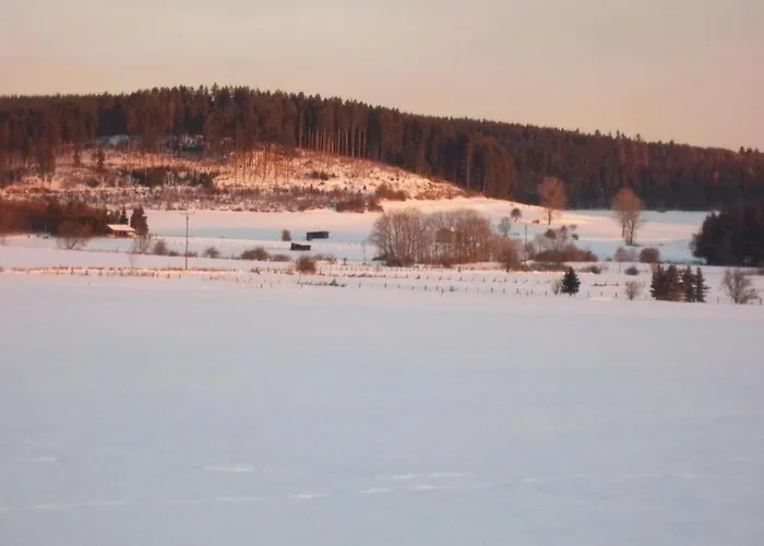 דירה Im Sauerland מדבאך
