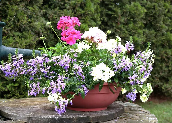 Appartement Im Sauerland