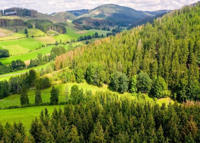 Im Sauerland דירה